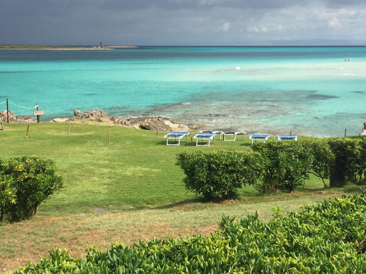 Carrabean Sea In The North Of Sardegna, With Swimming Pool Villa Viddalba Exterior photo