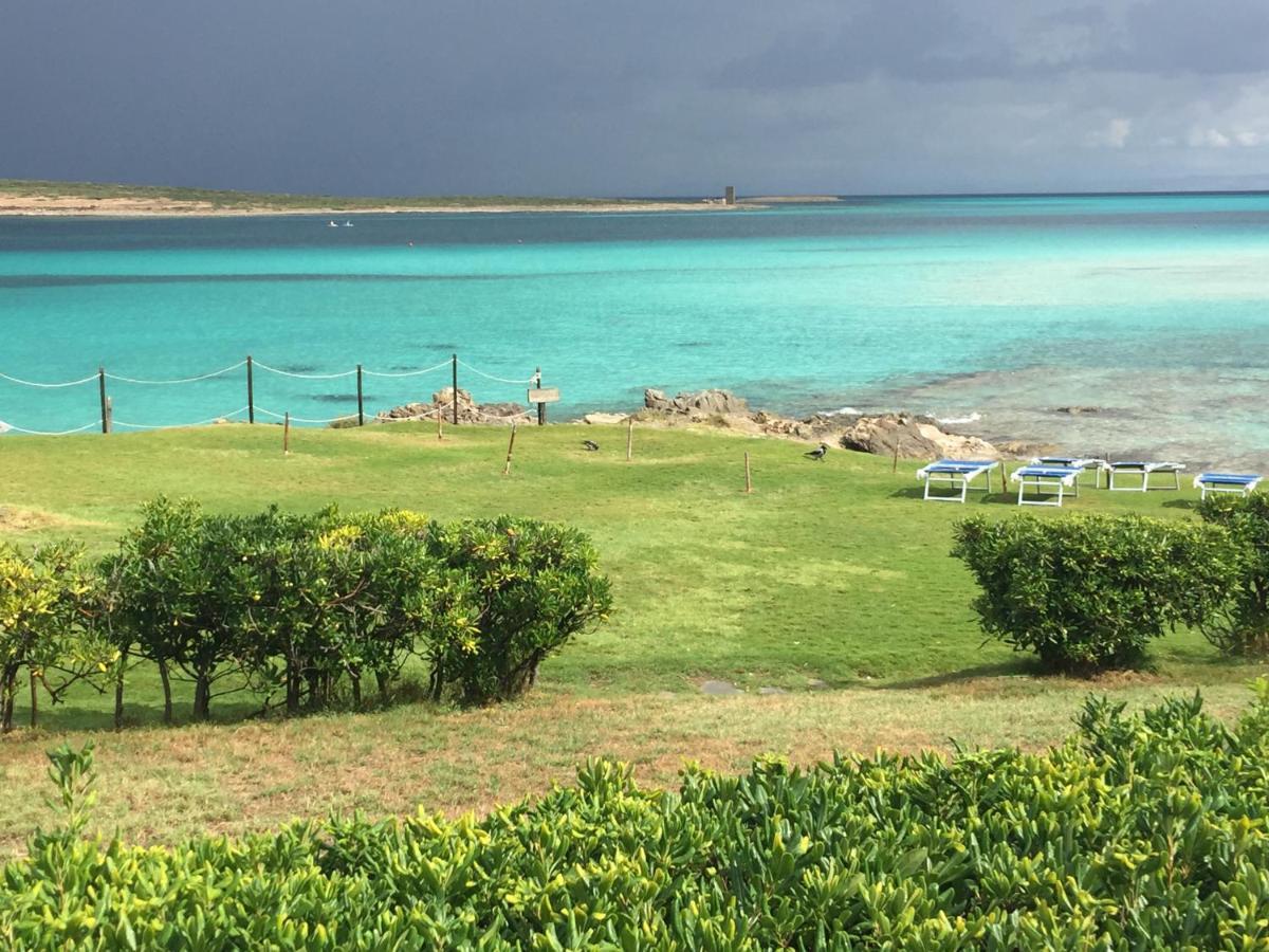 Carrabean Sea In The North Of Sardegna, With Swimming Pool Villa Viddalba Exterior photo