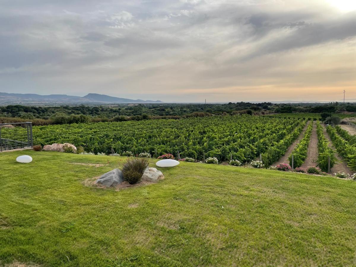 Carrabean Sea In The North Of Sardegna, With Swimming Pool Villa Viddalba Exterior photo