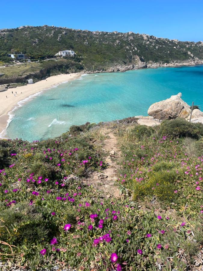 Carrabean Sea In The North Of Sardegna, With Swimming Pool Villa Viddalba Exterior photo