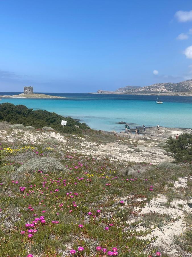Carrabean Sea In The North Of Sardegna, With Swimming Pool Villa Viddalba Exterior photo